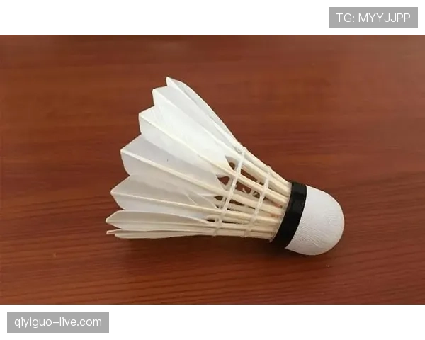 手球规则中“扩大身体面积”判罚到底如何界定？