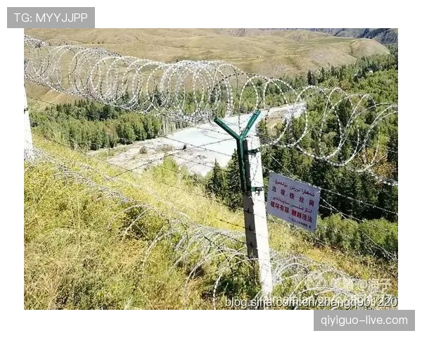 禁区线算不算禁区内？足球规则中如何精准界定边界判罚